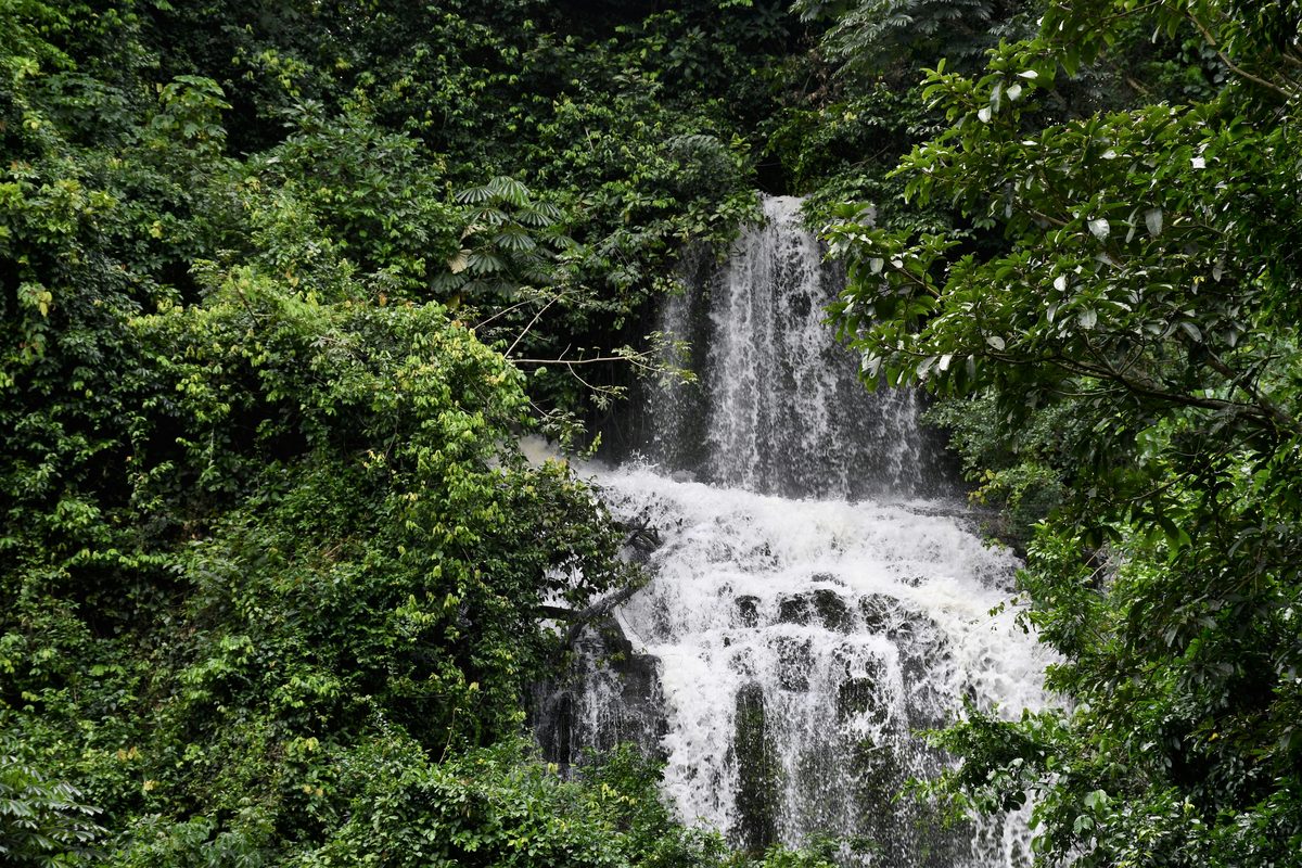 Ho / Volta Region, Ghana